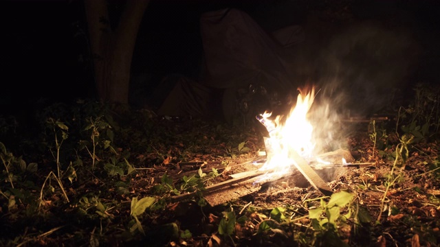 篝火在夜晚燃烧的森林。篝火在露营附近的自然上燃烧视频素材
