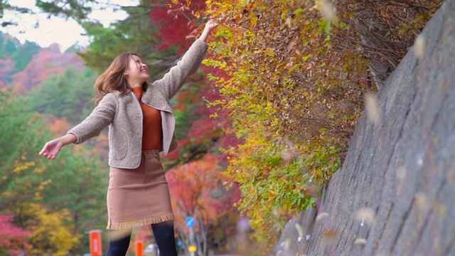 慢动作的微笑年轻美丽的亚洲女子游客扔红色枫叶在秋天的公园。快乐漂亮的女孩，放松和享受美丽的自然。日本旅游度假和秋季季节改变概念。视频素材