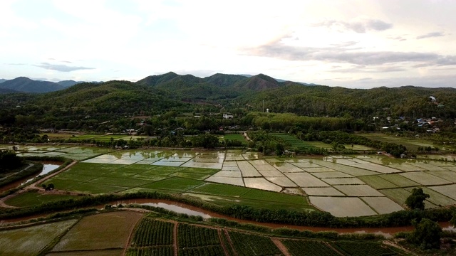 空中稻田填满水，准备种植水稻。泰国北部的农田，有稻田和蔬菜种植园。视频素材