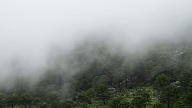 移动的云穿过山脉和森林视频下载