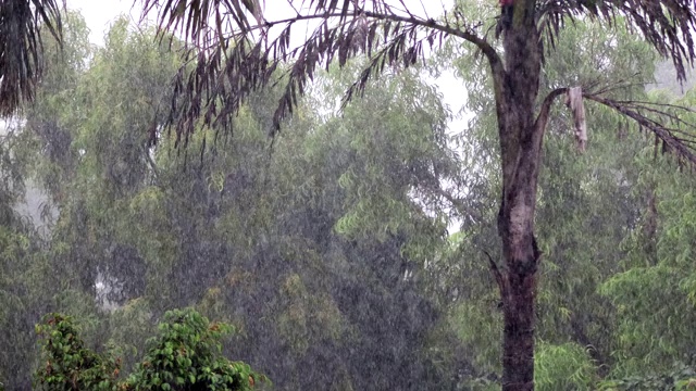 大雨视频素材