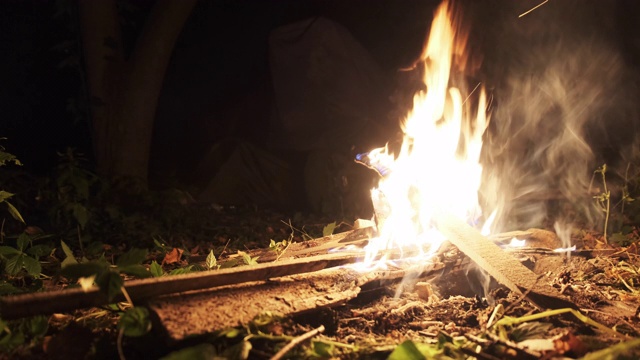 森林里夜晚燃烧的篝火。营地附近的篝火在自然中燃烧视频素材
