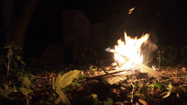 篝火在夜晚燃烧的森林。篝火在露营附近的自然上燃烧视频素材