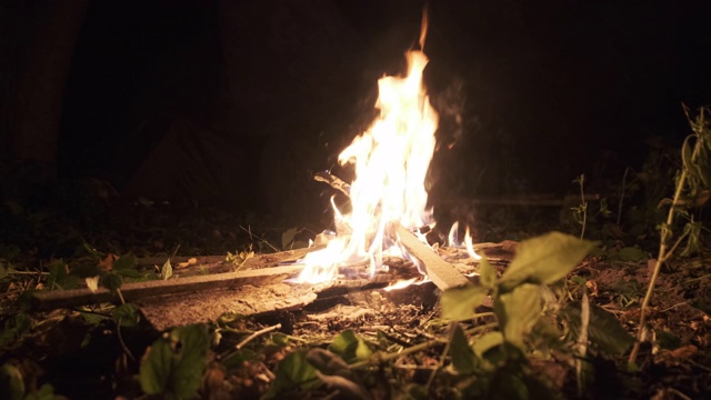 篝火在夜晚燃烧的森林。篝火在大自然中燃烧。慢动作视频素材