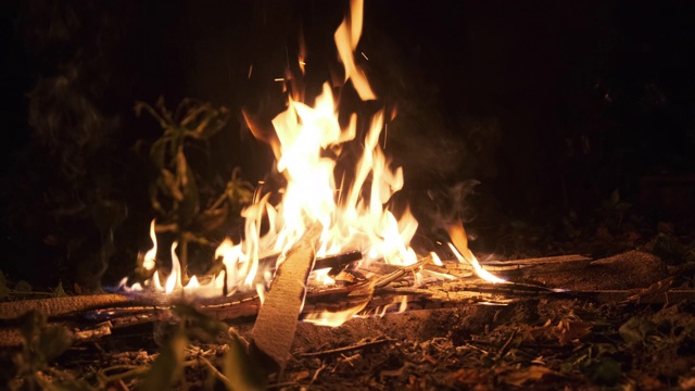 篝火在夜晚燃烧的森林。篝火在大自然中燃烧。慢动作视频素材