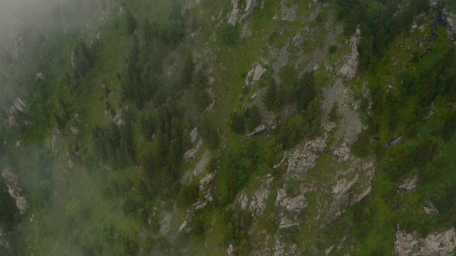 鸟瞰图雾蒙蒙的鸟瞰图绿色景观山覆盖着松树和岩石4k视频素材