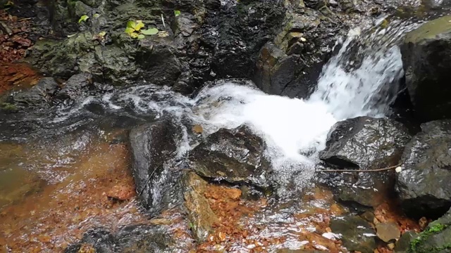 美丽的水流穿过岩石视频素材