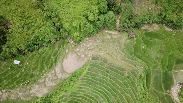 泰国北部梯田视频素材