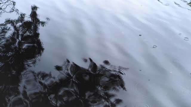 水圈上的雨滴视频素材