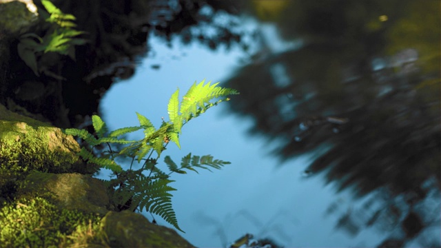 碧波荡漾的水面映着蓝天。视频素材