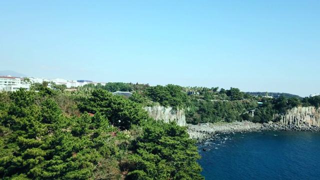 Rocky cliff / Seogwipo-si，济州岛，韩国视频素材