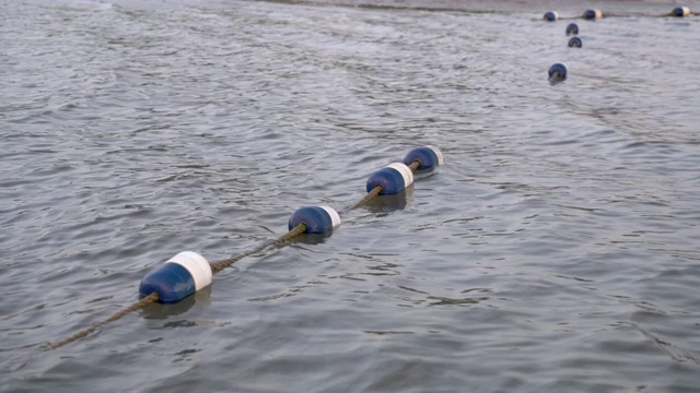 泳滩浮标线-博伊德湖州立公园视频素材