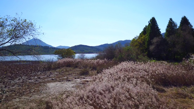 Junam水库/ Changwon-si，庆尚南道，韩国视频素材