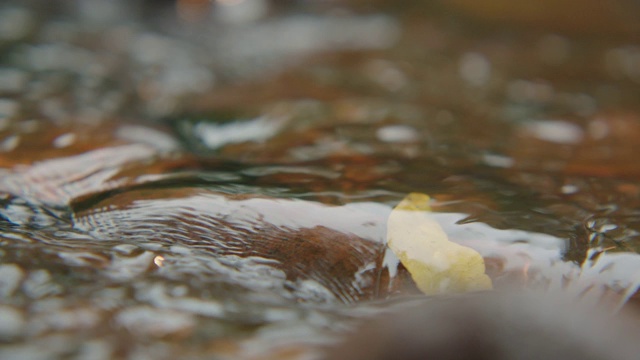 水的细节流过石头，自然的背景视频素材