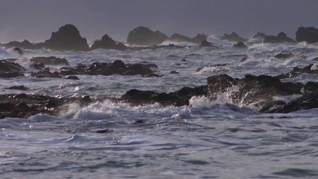 岩石海与鸟类飞翔，北海道，日本视频素材