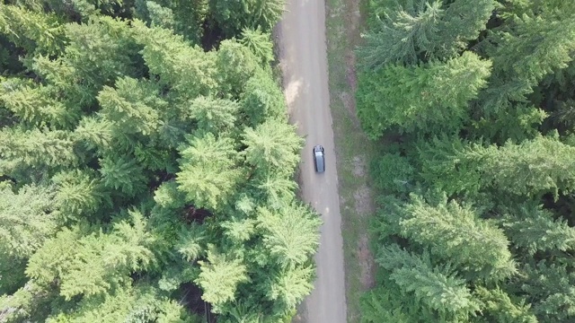 空中俯瞰4k汽车行驶在乡村道路在黄昏的森林在傍晚。无人机在松树林的砾石路上飞行。无人机从晴天上空拍摄视频素材