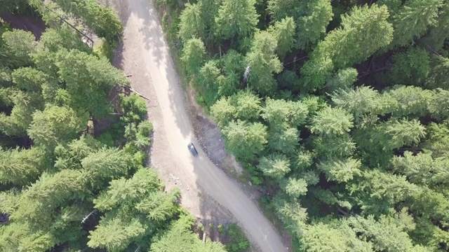 空中俯瞰4k汽车行驶在乡村道路在黄昏的森林在傍晚。无人机在松树林的砾石路上飞行。无人机从晴天上空拍摄视频素材