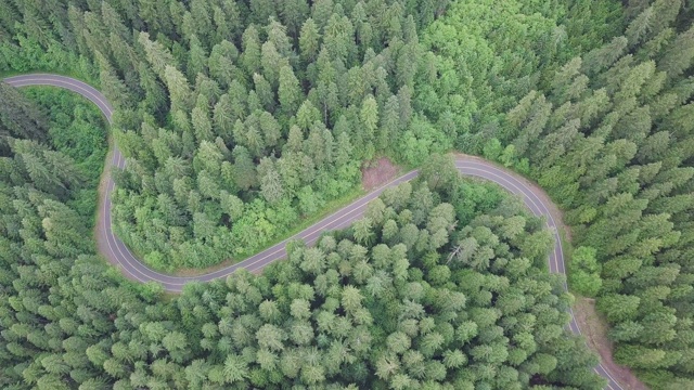 空中俯瞰4k汽车行驶在乡村道路在黄昏的森林在傍晚。无人机在松树林的砾石路上飞行。无人机从晴天上空拍摄视频素材