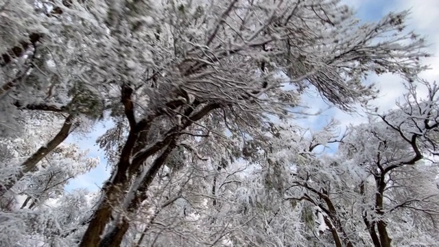 科罗拉多州博尔德市附近新下的雪覆盖了大地视频素材