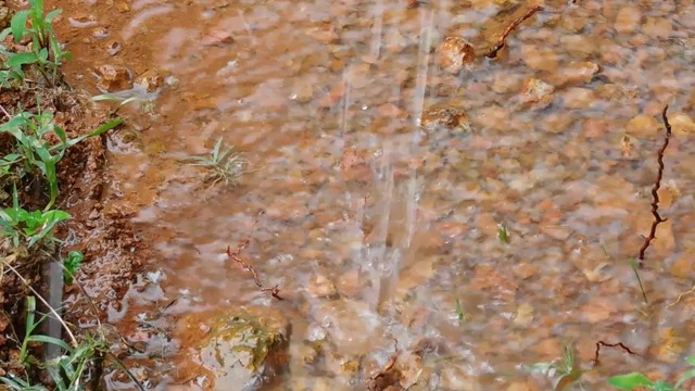 大雨滴在地上视频素材