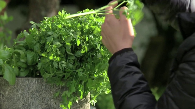 收集草药视频素材