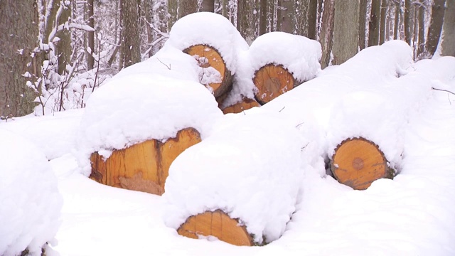 在雪下砍树干视频素材