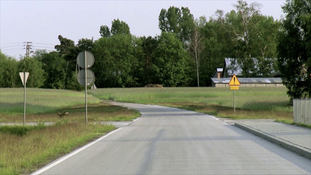 鹿跑过马路视频素材