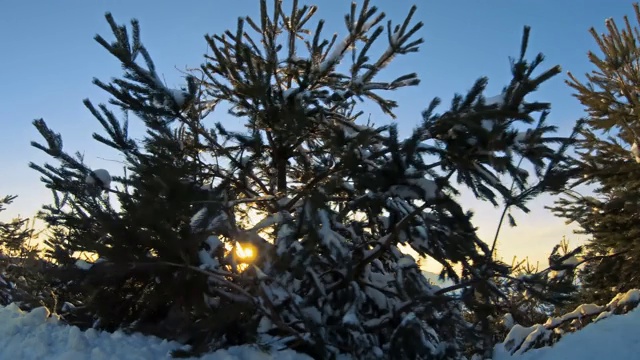 在日落时分，在冰雪覆盖的冬季森林道路上行驶，侧观松树和山景视频素材