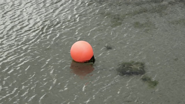 波罗的海水面上的橙色标记浮标在小波浪上移动视频素材