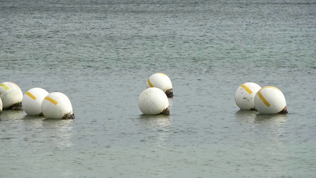 在波罗的海水面上的多个白色浮标在小波浪上移动视频素材