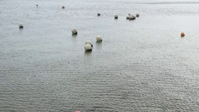 在波罗的海水面上的多个白色浮标在小波浪上移动视频素材