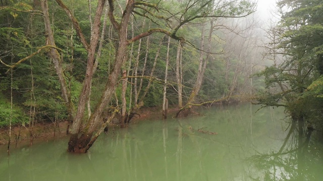 河视频素材