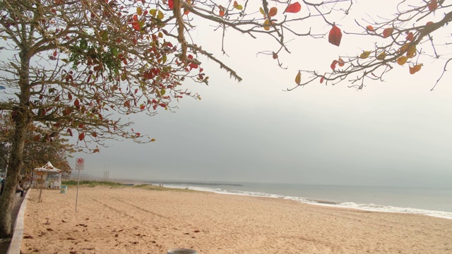 清晨的薄雾在城市的海滩上视频素材