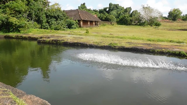 草地附近池塘里美丽的水视频素材