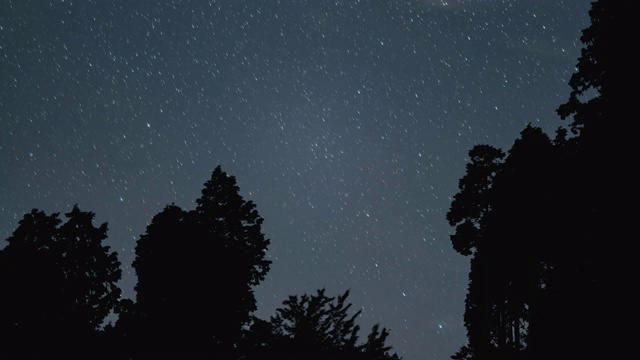 时间流逝镜头的星星通过夜空对一个剪影地平线视频素材