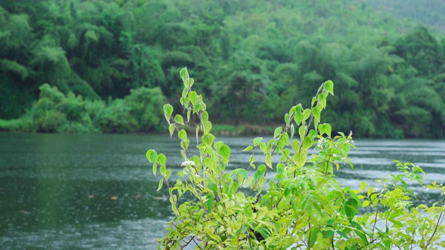 景色以雨天为背景，以河流和山脉为背景视频素材