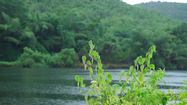 景色以雨天为背景，以河流和山脉为背景视频素材