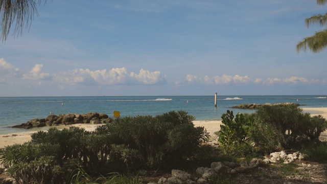 无边无际的大西洋美景。可爱的海鸥站在礁石上，周围是蓝色的海水，背景是浅蓝色的天空。视频素材