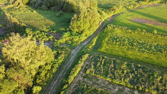 鸟瞰图的乡村道路和森林在一个夏天的一天。绿树和田野俯视图。鸟瞰视频。视频素材