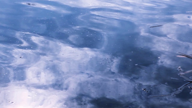 树木和天空与云彩反射在湖水中视频素材