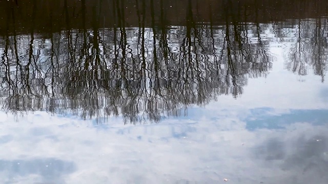 树、天、云倒映在湖水中视频素材