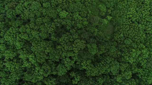 蜿蜒乡村道路的航拍，4k格式，60帧/秒RAW格式视频素材