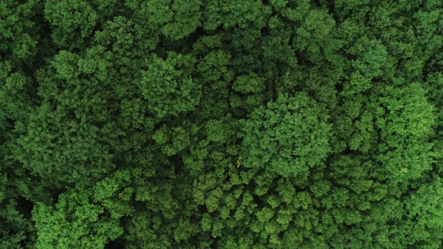 蜿蜒乡村道路的航拍，4k格式，60帧/秒RAW格式视频素材