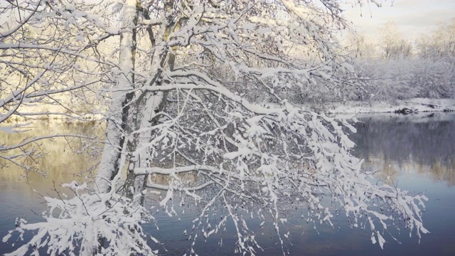 冬天的第一天，河里下雪了视频素材