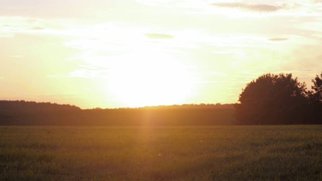 夏日田野里，夕阳照进相机视频素材