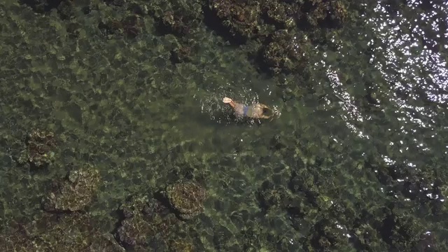 一个年轻男子在清澈的海洋中与珊瑚游泳的面罩俯视图。视频素材