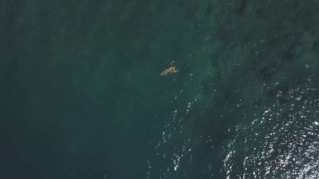 从上到下的鸟瞰图，年轻男子在夏天在海洋中游泳。视频素材