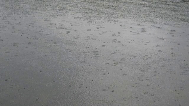 一场大雨猛击湖面，雨滴落在河水表面。视频素材