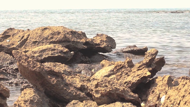 珊瑚。岩海海滩水波，山水景观。视频素材