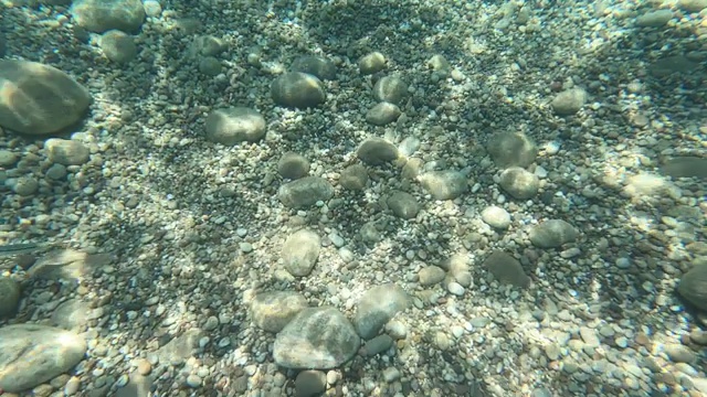 Underwater一枪(pebbles)视频素材